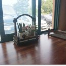 시탕뿌리 이미지