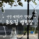 포도길캠핑장 | 경기도 안성 애견동반 캠핑 포도길캠핑장 내돈내산 후기 (포도존과 다래존)