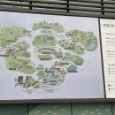 수선화카페 이미지