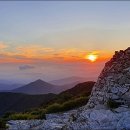 재약산식당 이미지