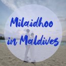 오션컴퍼스 이미지