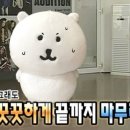 [컴퓨터활용능력] 컴활 2급 실기 합격후기 / 2주 독학 공부 / 컴활의 정석, 기풍쌤 추천