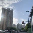 댕댕이 펫카 이미지