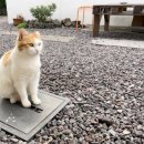 노리민박 이미지