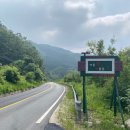 여울애꽃물들인 이미지