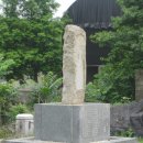 국도23호선가로수 이미지