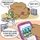 스튜디오킨조 이미지