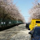 황령산순환도로 이미지