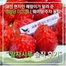 동아에스티(주)대전지점 | 성심당 DCC점 말차시루 후기 웨이팅 주차 보관 | 대전 현지인 꿀팁