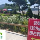 강화자연농원펜션 네이버블로그