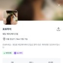 하이,포포 이미지