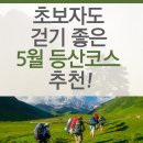 정릉51 | 🌿 초보자도 걷기 좋은 5월 등산코스 추천 🌤 서울·수도권 산책 겸 등산 명소 5선