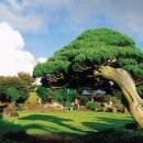 생각하는 정원 이미지