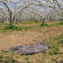 풍천농장 이미지