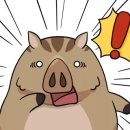 디자인해랑 이미지