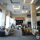 아도니스 이미지