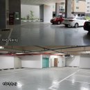 베가팰리스 네이버블로그