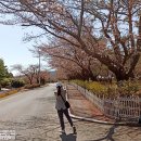 (주)케니황월드에이젼시 | 켄싱턴리조트 경주 호텔 리모델링룸 가족여행숙소 추천! 사과빵 애슐리퀸즈 모든것