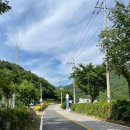 배내피트 이미지