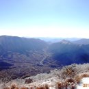 도리재농장 이미지