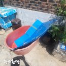서부종합타이어