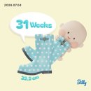 (주)SIMPAC 포항1공장 | 임신 31~32주차 :: 마지막 출근 | 빨래공장 시작 | 이케아 아기침대 당근 무료나눔 득템🥕