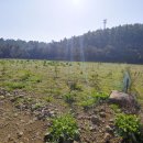 구억공인중개사사무소 이미지