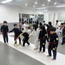 한별 용인대 소나무향기 태권도장 | 남양주한별초등학교, 완벽주의 아이 성향부터 대하는 법 총정리