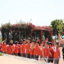 조하유치원 이미지