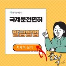 국제운전면허증 발급방법 보기!! 이미지