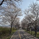2026년 장대사랑 시조회 공지 이미지