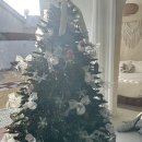 넘버원펜션 | 포항 독채펜션 니나노스테이 여럿이 가도 복잡함 없는, 감성 가득 프라이빗 숙소