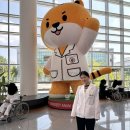 한국휴렛팩커드(유)교육센터 | 임상전문간호사과정 3학기 실습 종강 | 실습은 재밌는데 왜 자괴감이 들까 | RN D+3068