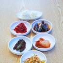 돌고래회센터