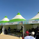 부산레포츠 | 부산교육가족걷기축제후기-광안리해양레포츠센터 가족체험 리얼 이야기