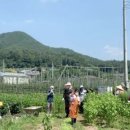 이순희농가 이미지