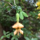 봄날부동산중개 이미지