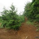 남면 동절사 이미지