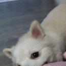봉구