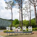 화명쉼터 | 부산 화명수목원 온실 피크닉 주차 무료입장 주말 나들이 장소 추천