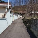 무주읍195 Daum카페