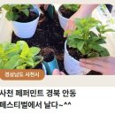 진명농장 이미지