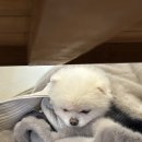 강남(205) 이미지