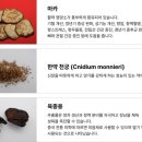 베이프킹 이미지