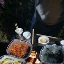 대파니힐링팜 이미지