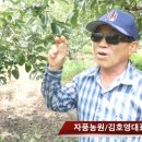 자풍농장 네이버블로그