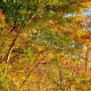 경천 갈매길 이미지