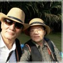 베트남 다낭여행기(2018,2.28) 이미지