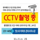 서대신 엔스타 이미지