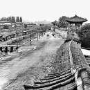 은행나무로(송현동) 이미지